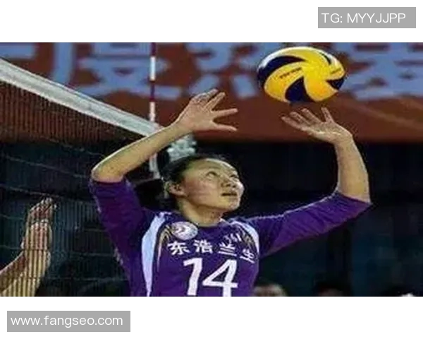 杨芳专访：从排球新星到传奇教练的成长之路与心路历程回顾