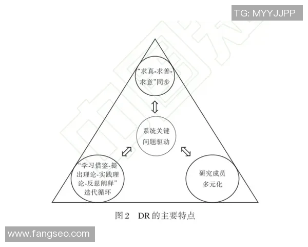科学攀岩战术训练方法探讨与实践提升技巧与安全保障